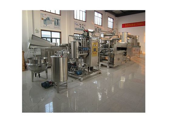 Complete Automatic Small Gummy Candy Manufacturing Equipment supplier