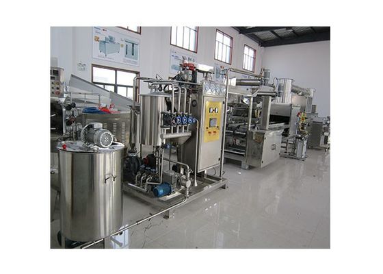 Complete Automatic Small Gummy Candy Manufacturing Equipment supplier